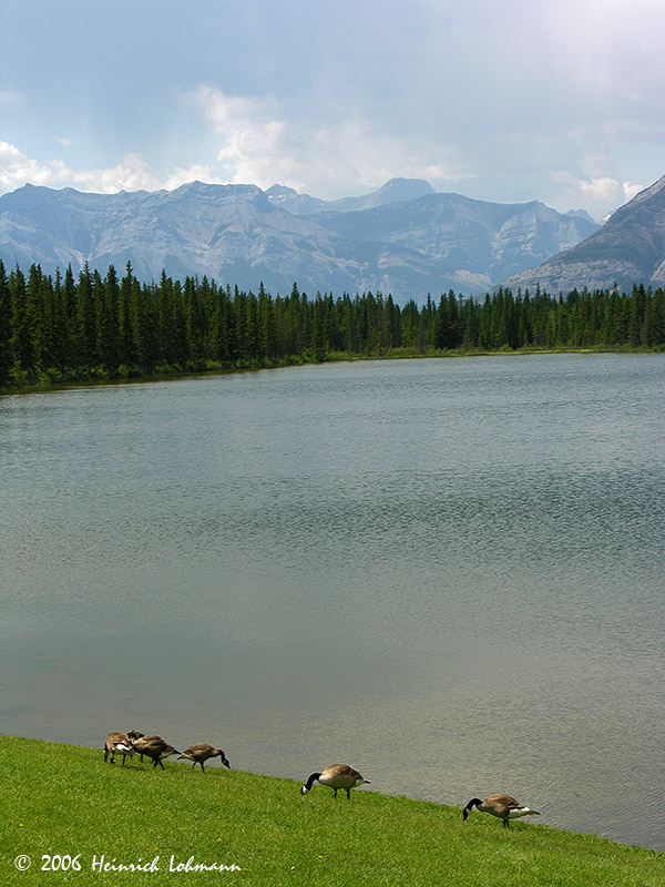 0574-web.jpg