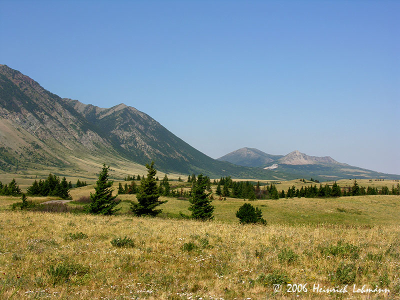 2171-waterton.jpg