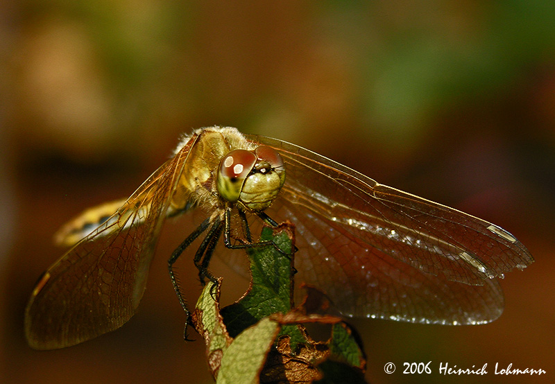 3403-web.jpg