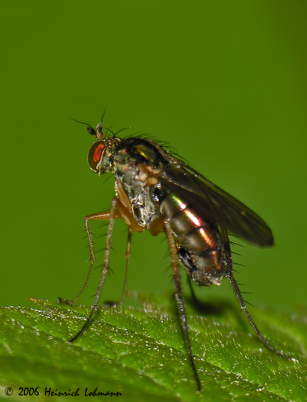3264-web.jpg