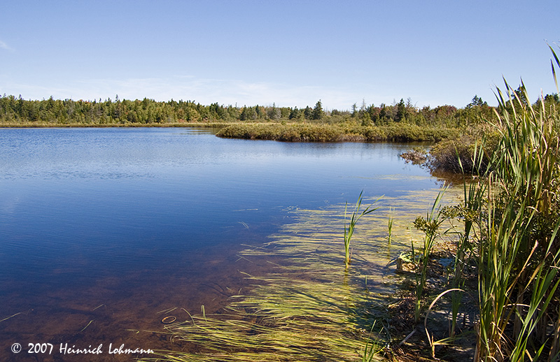 P6496-Maine.jpg