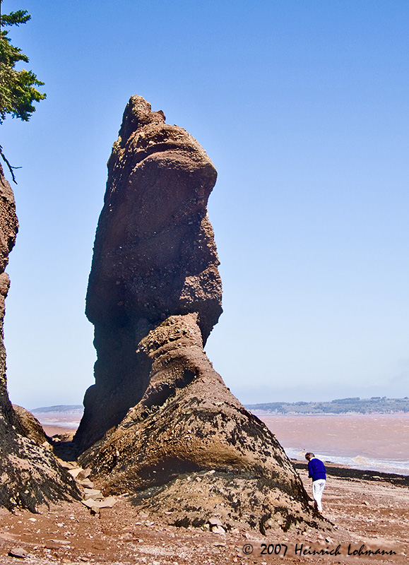 P7090-Hopewell Rock.jpg
