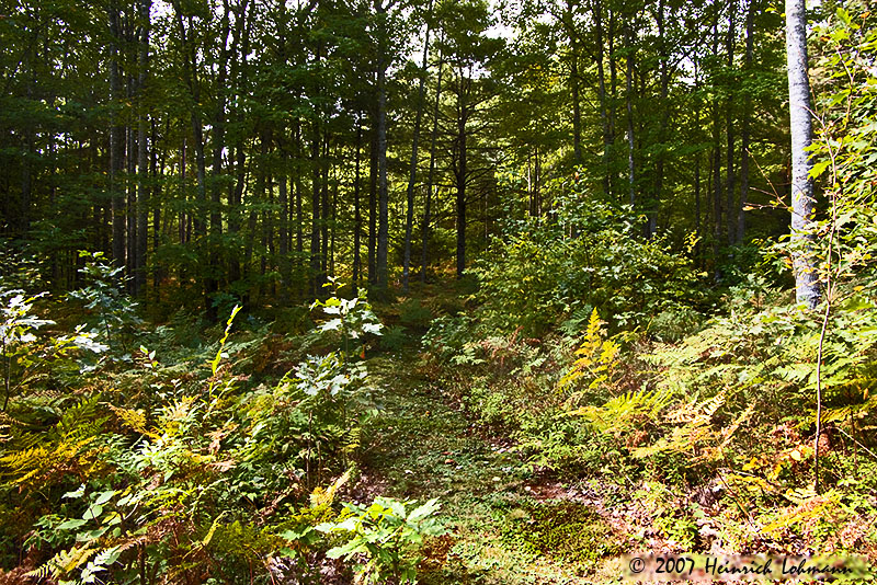 P7348-Nova Scotia.jpg
