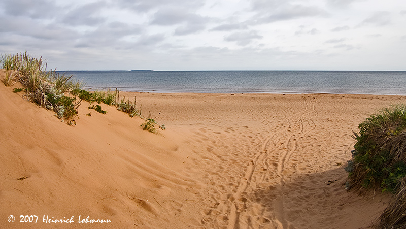 P8645-Panmure Head P.E.I.jpg