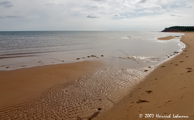 P8663-Panmure Head P.E.I.jpg