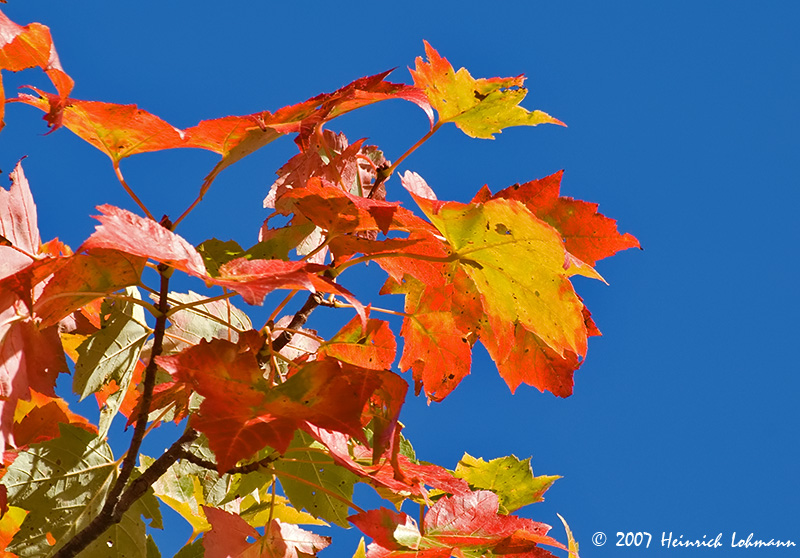 P9342-Nova Scotia.jpg