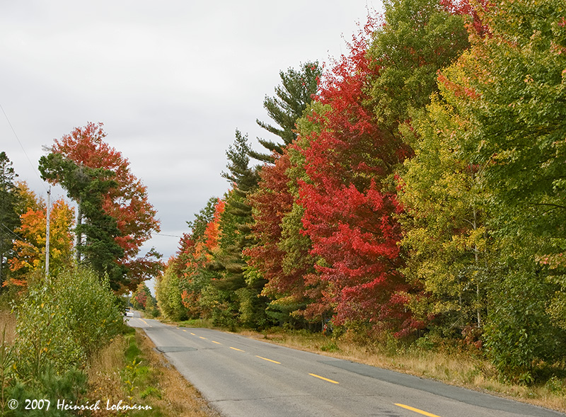 P9675-Nova Scotia.jpg