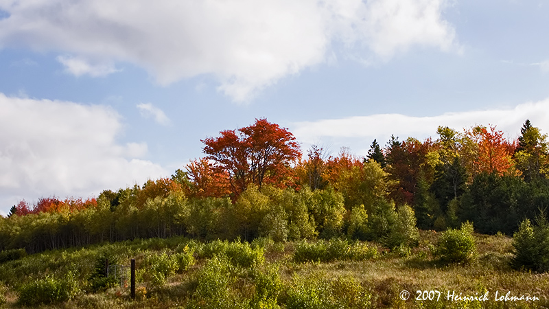 P9829-Nova Scotia.jpg