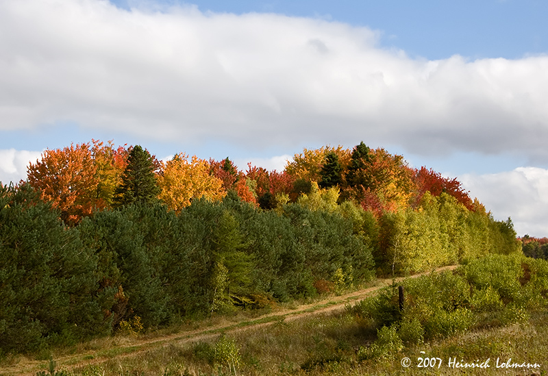 P9840-Nova Scotia.jpg