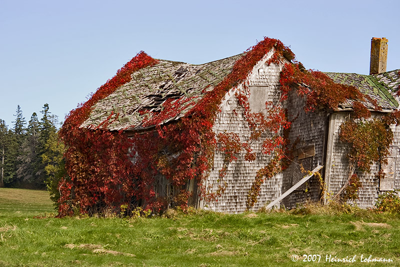 P9314-Nova Scotia.jpg