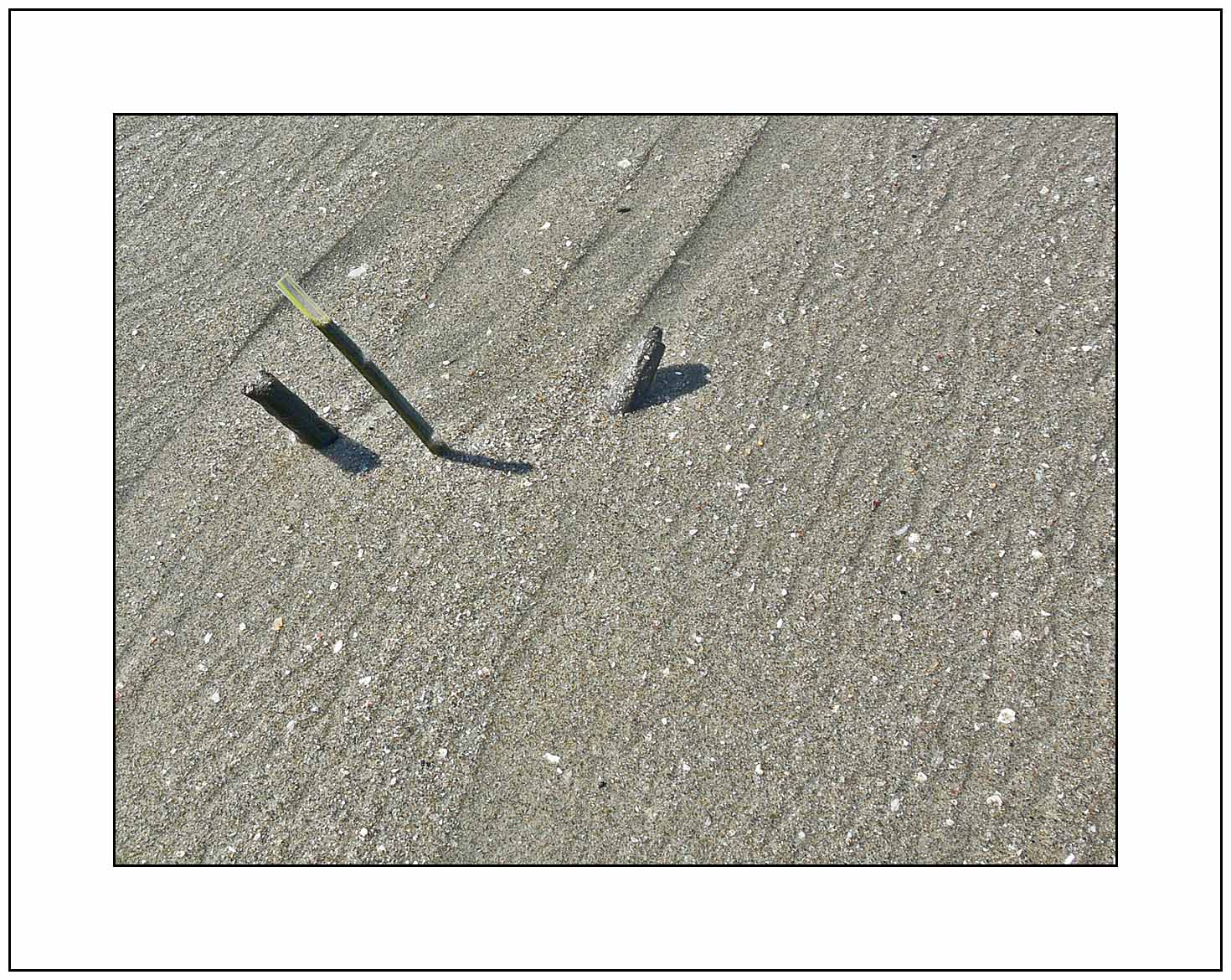 In the Sand