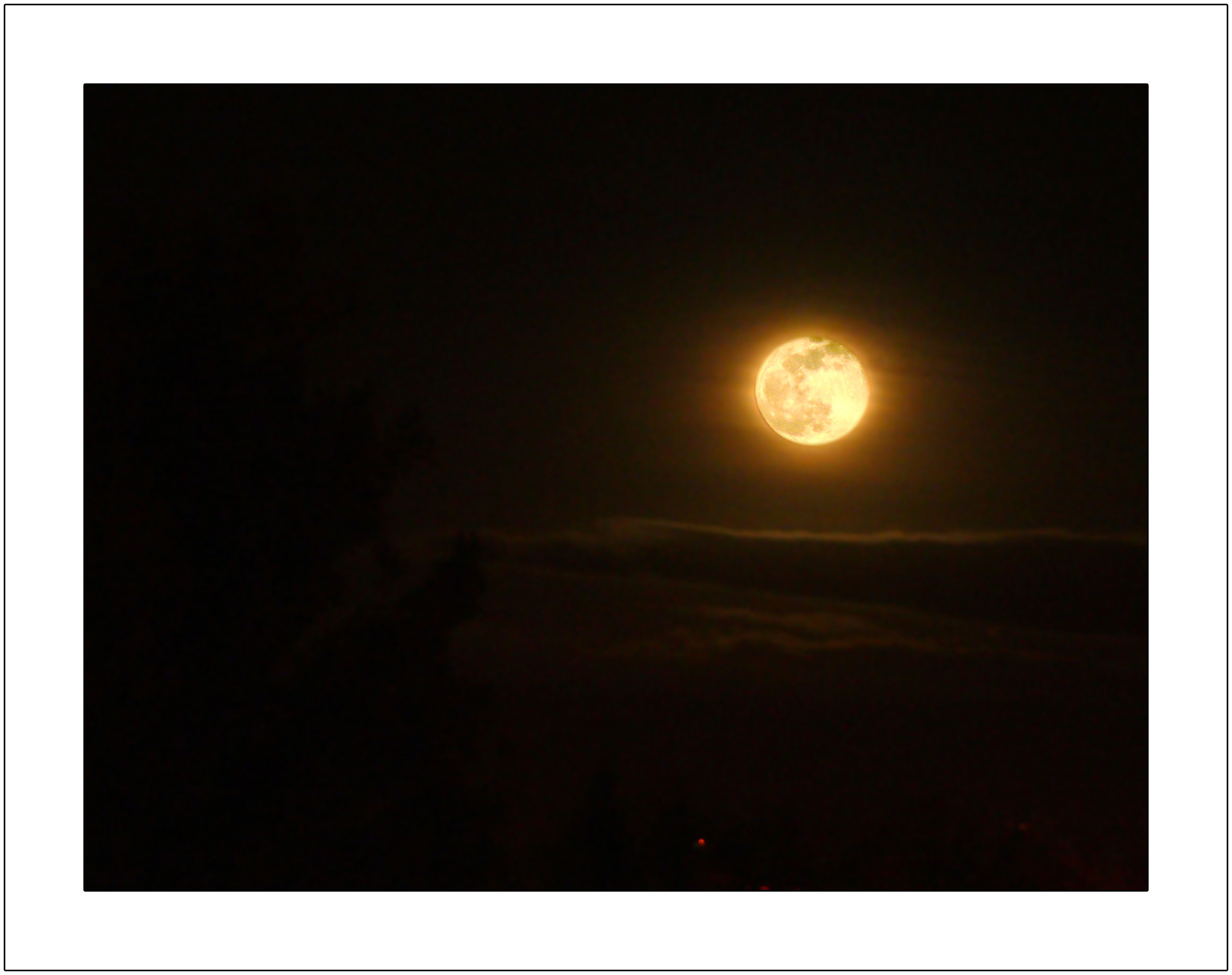 Winter Night