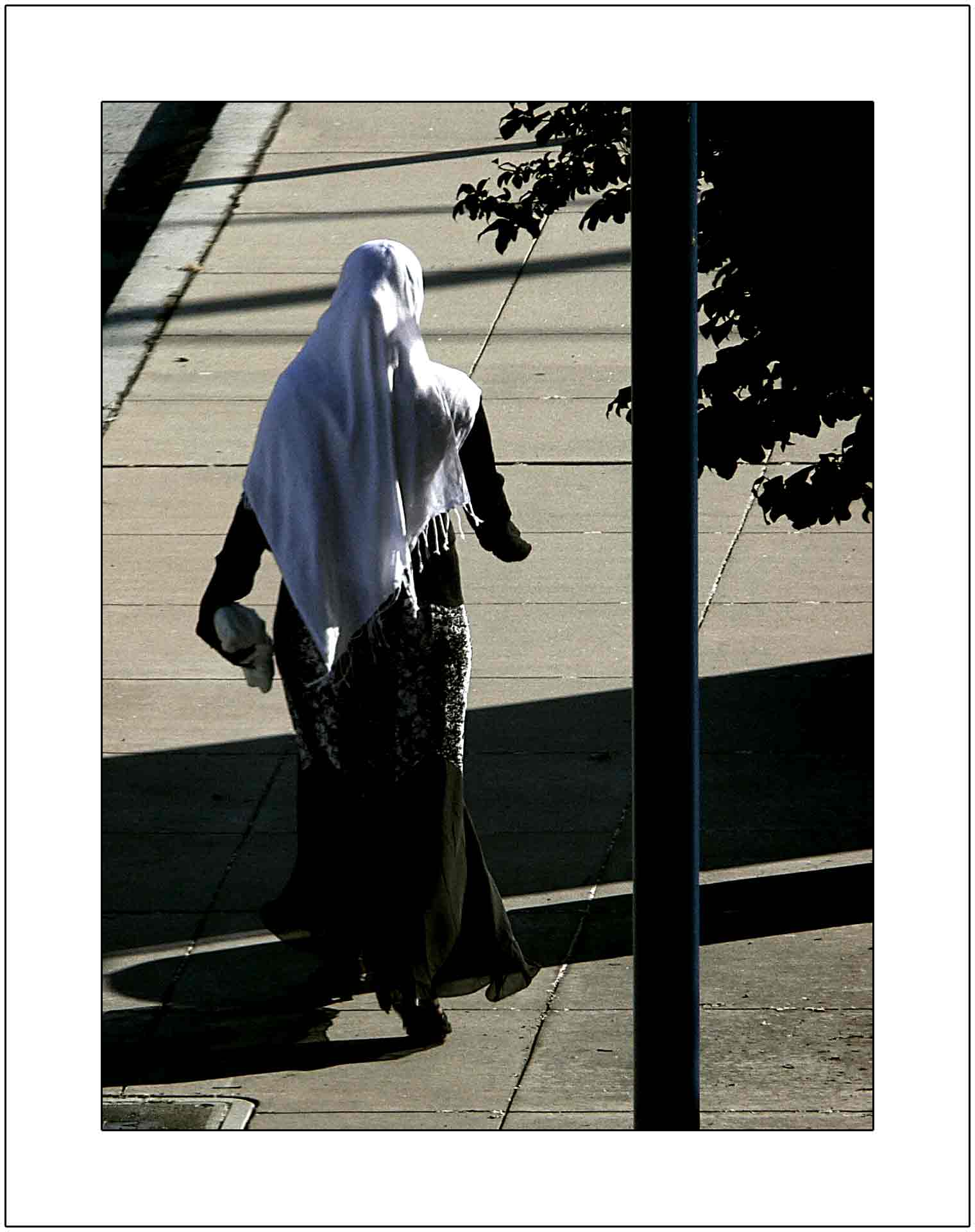 P1100659-copy.jpg