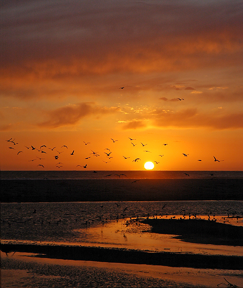 Spring Sunset