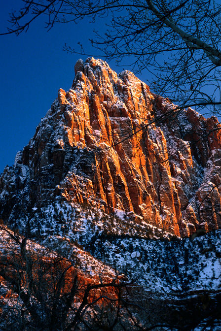 Snowy Watchman Peak