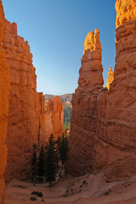 Switchbacks in Wall Street