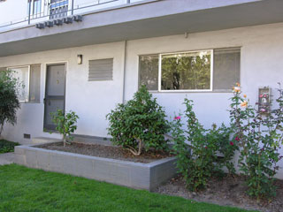 Front-View.jpg