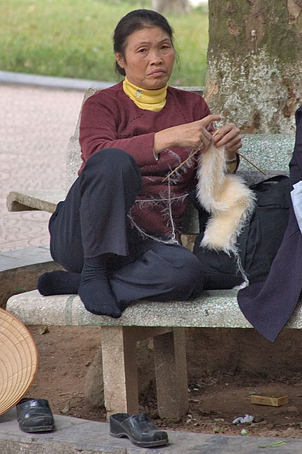 The Knitter