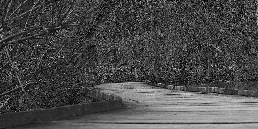 Woodlands Walkway