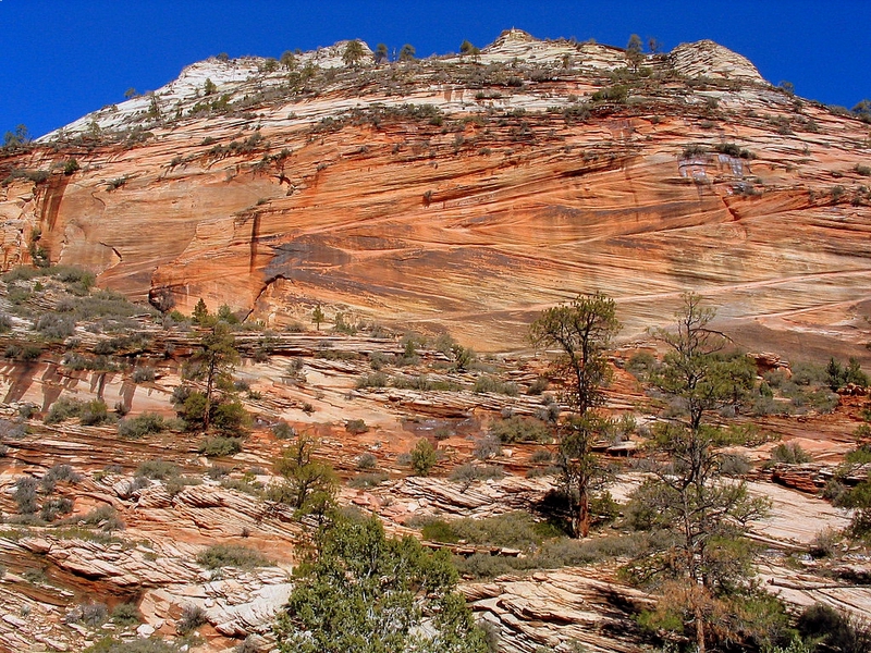 Zion National Park, cross bedding