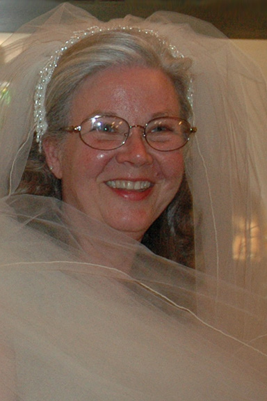 Veil Wrap