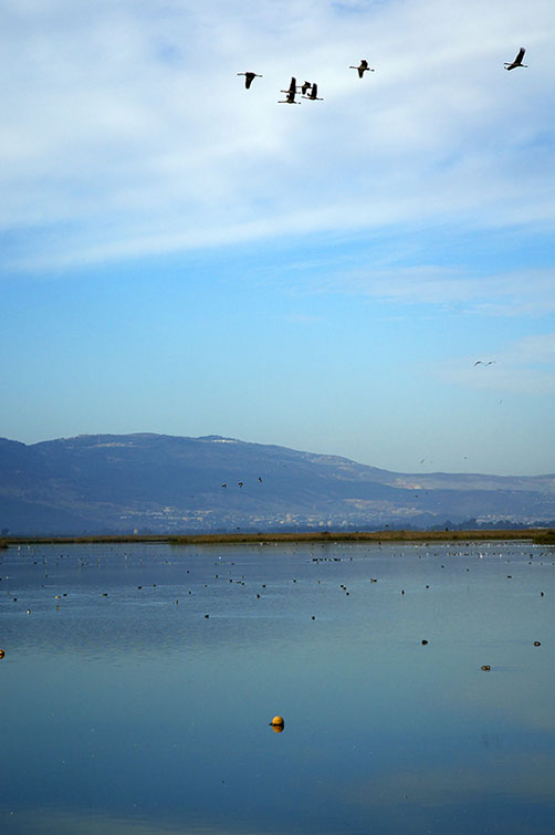 2005121104.jpg