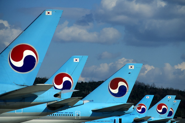 KOREAN TAILS GMP RF.jpg