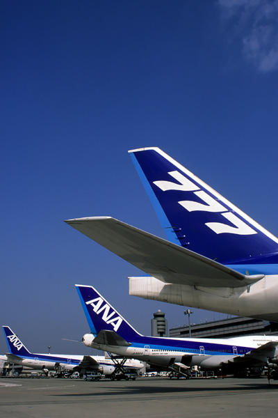 ANA TAILS HND RF.jpg