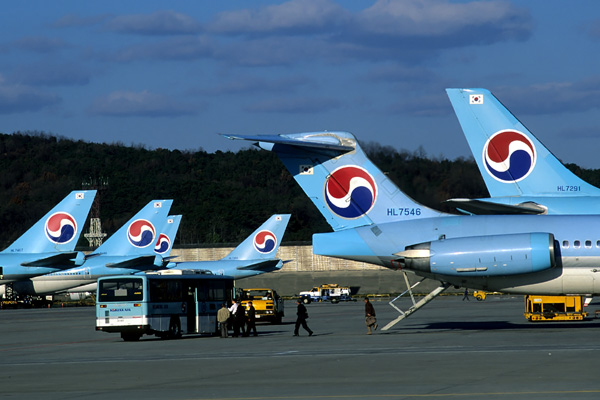 KOREAN TAILS GMP RF 2.jpg