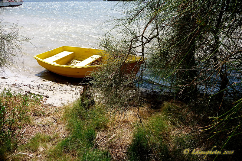 Yellow Boat