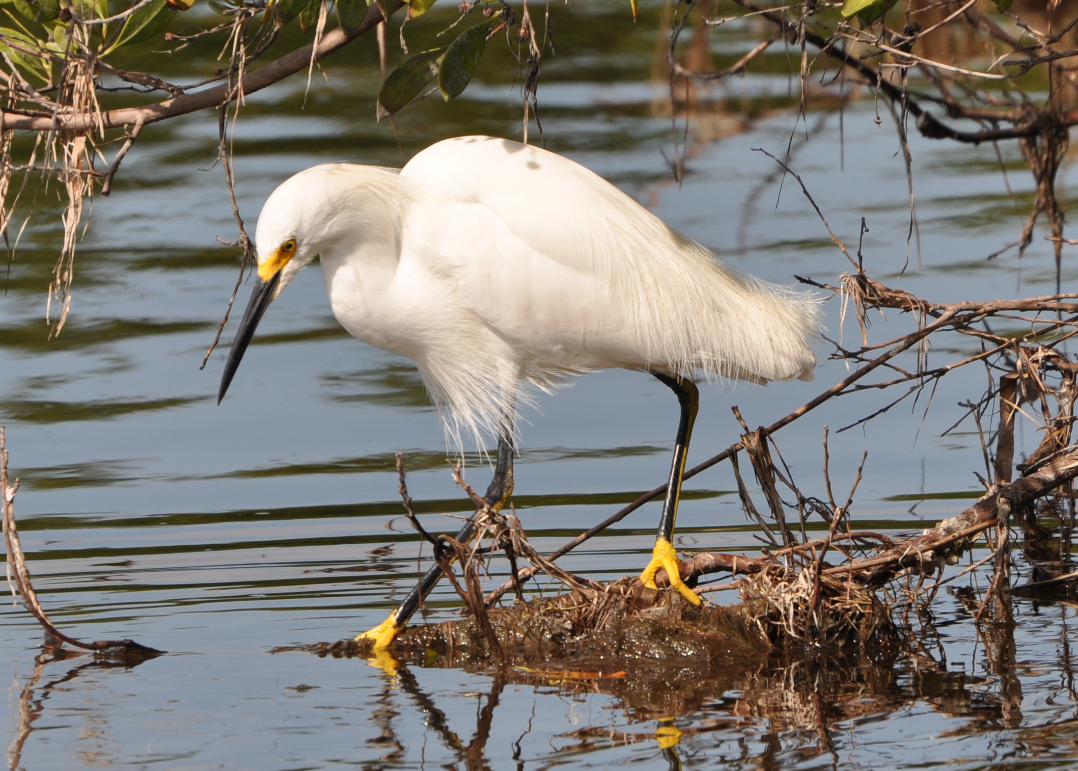 DSC_0013b.JPG