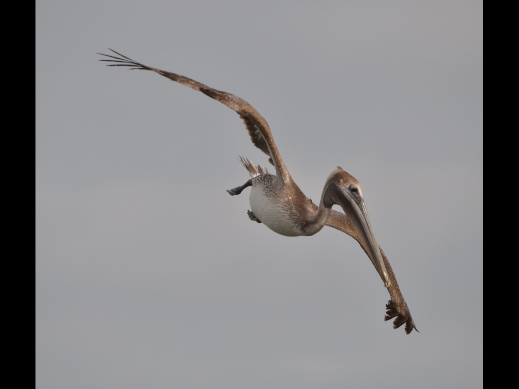 DSC_0097b.JPG