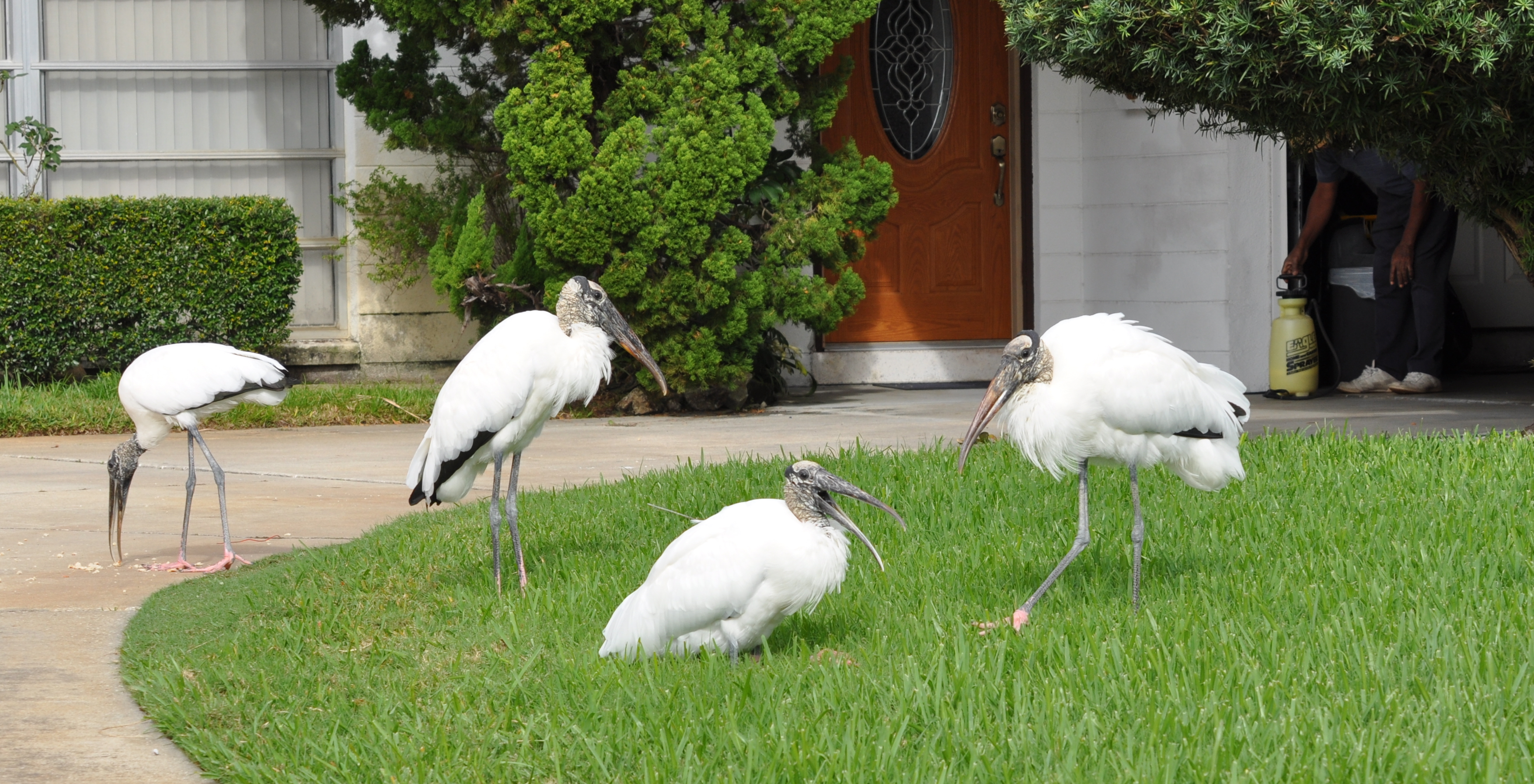 DSC_0015b.JPG