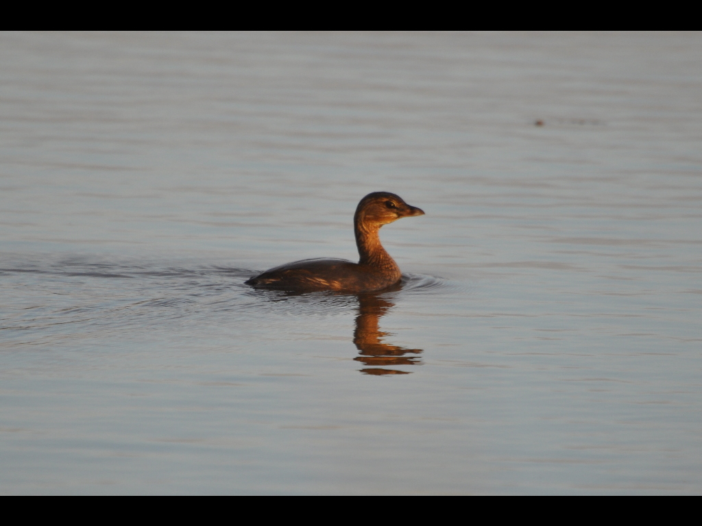DSC_0147b.JPG