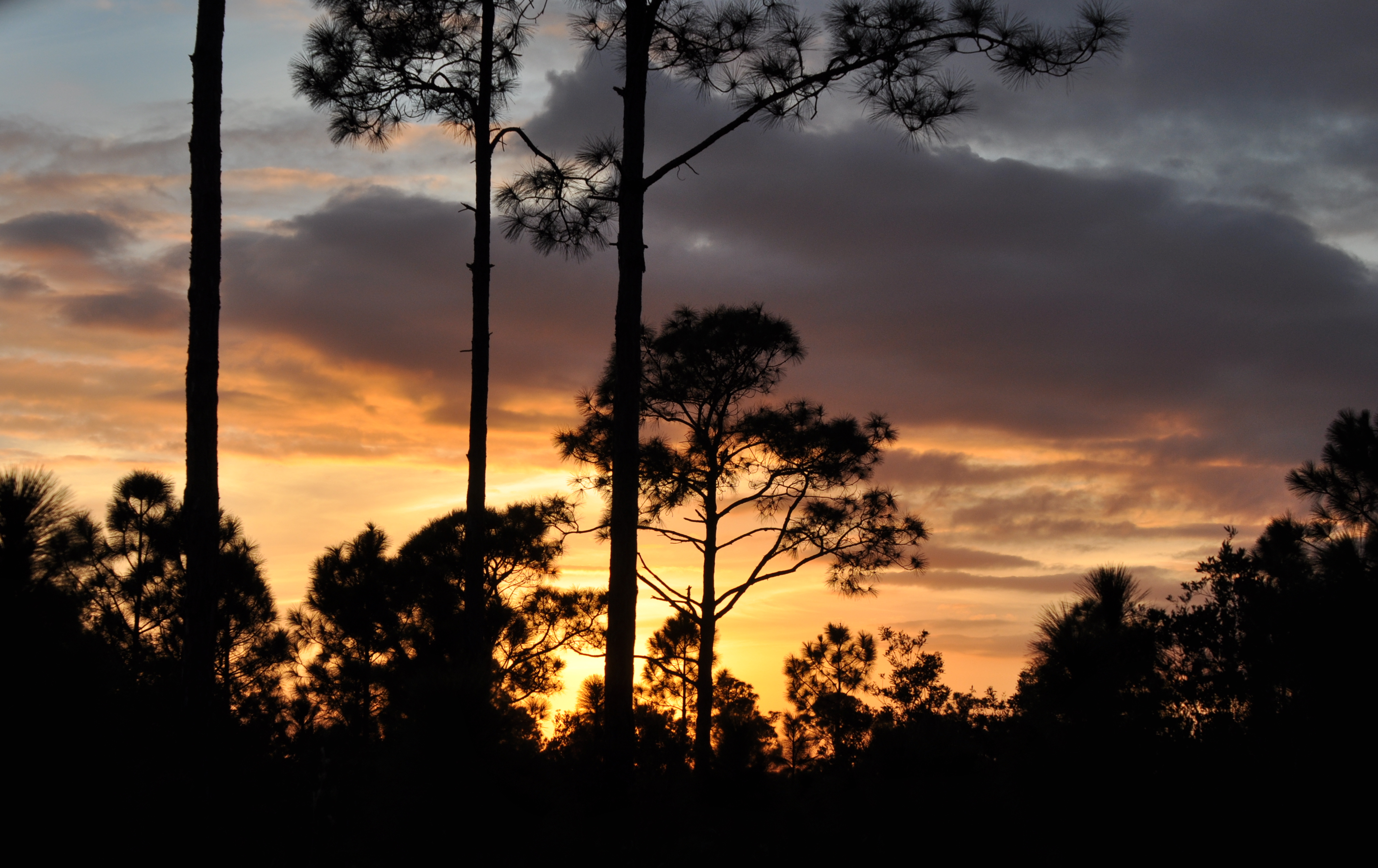 DSC_0188b.JPG
