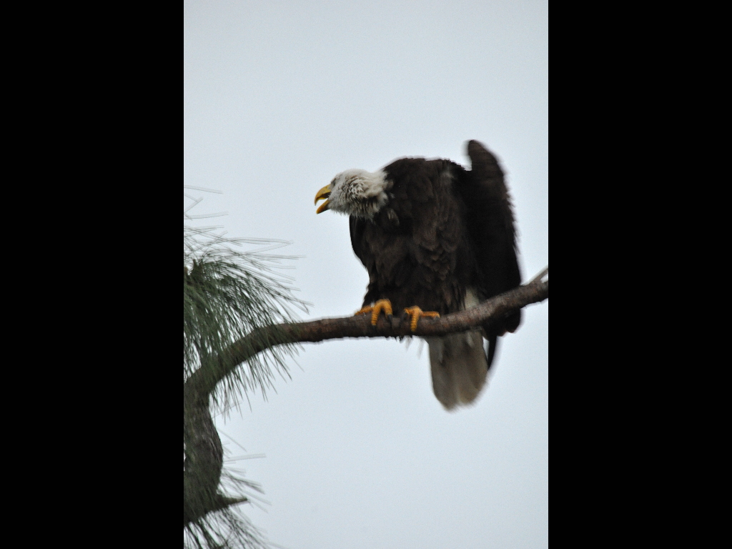 DSC_0290b.JPG