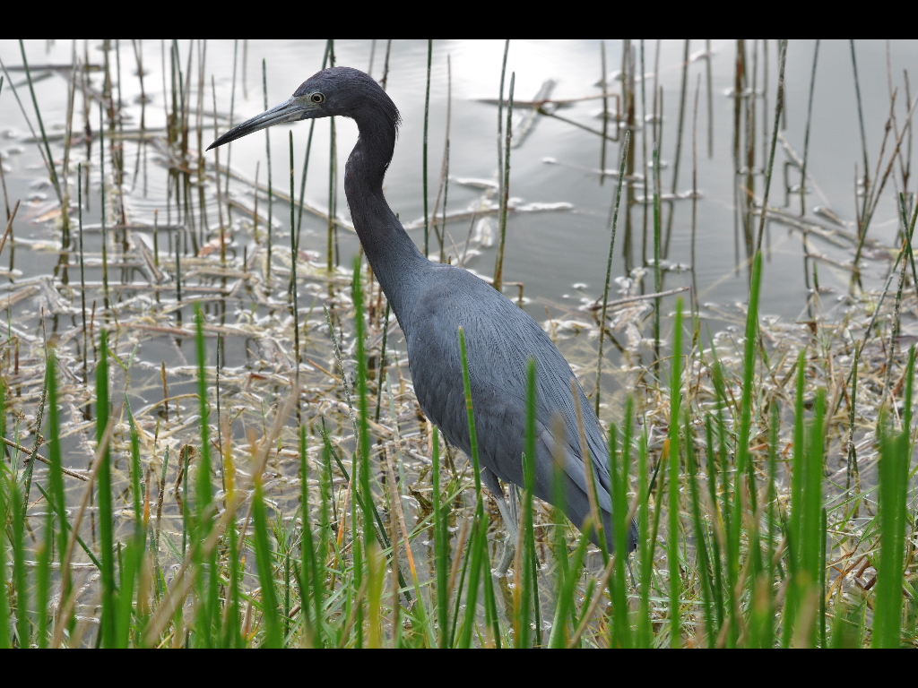 DSC_0438b.JPG