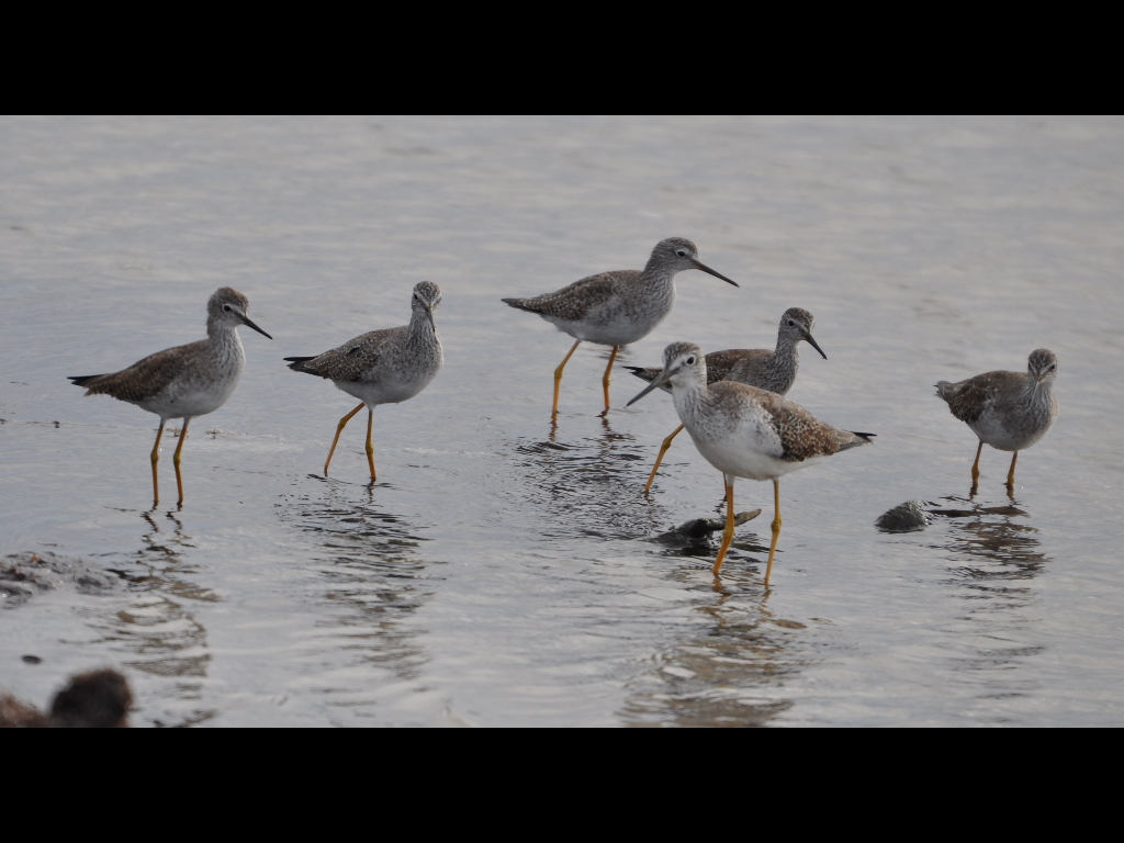 DSC_0301b.JPG