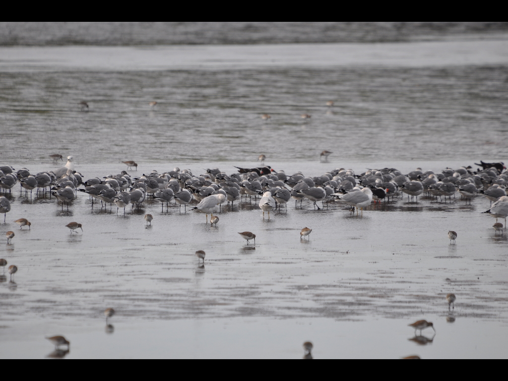 DSC_0331b.JPG