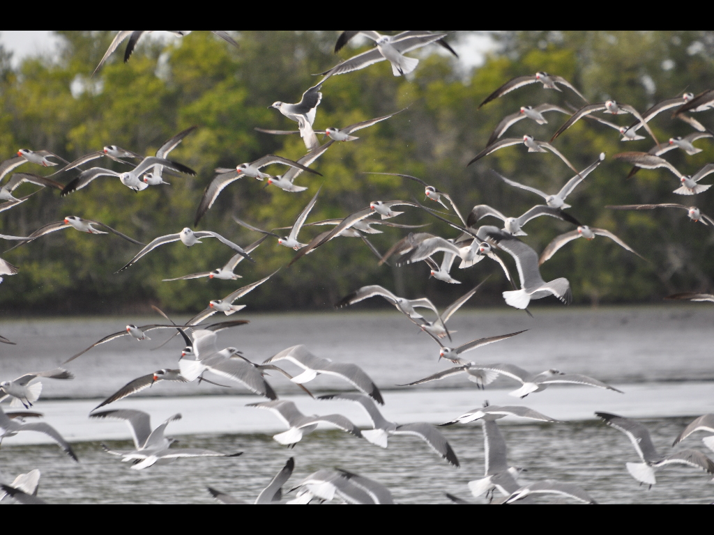 DSC_0405b.JPG