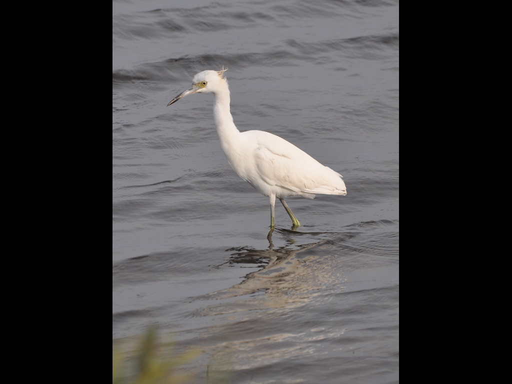 DSC_0469b.JPG