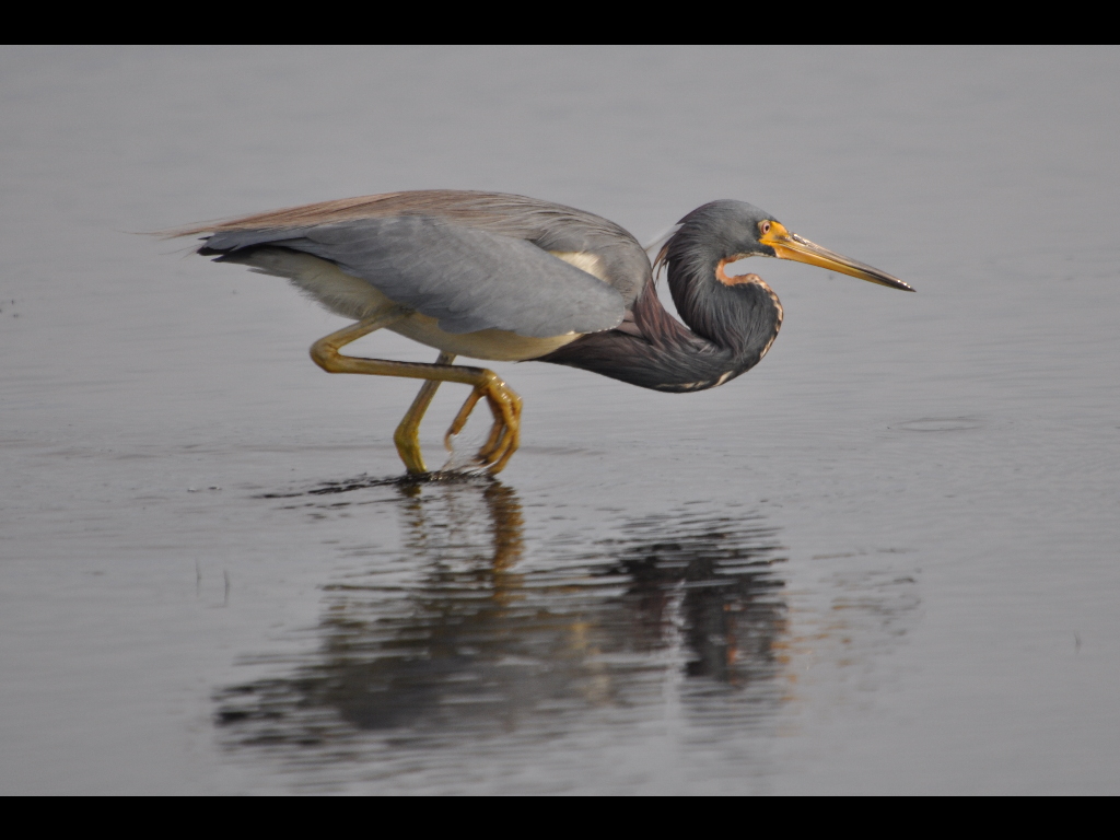 DSC_0553b.JPG