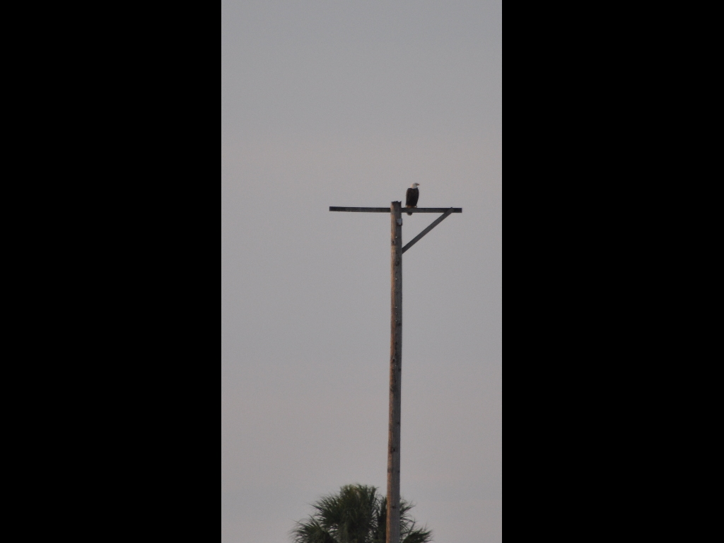 DSC_0003b.JPG