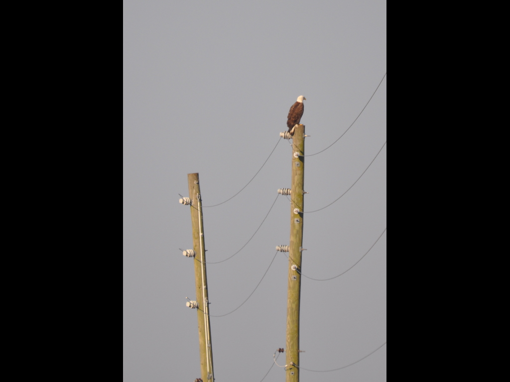 DSC_0136b.JPG