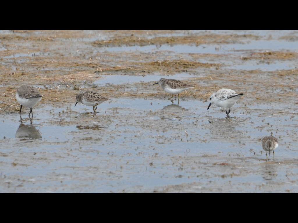 DSC_0380b.JPG