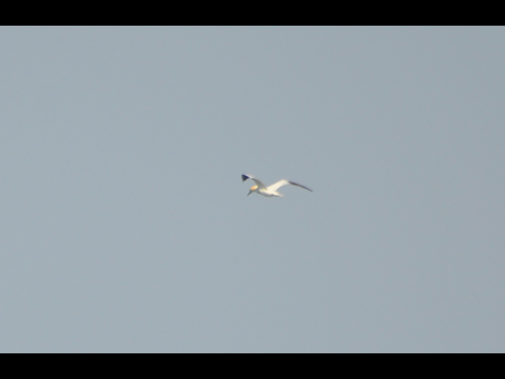 DSC_0573b.JPG