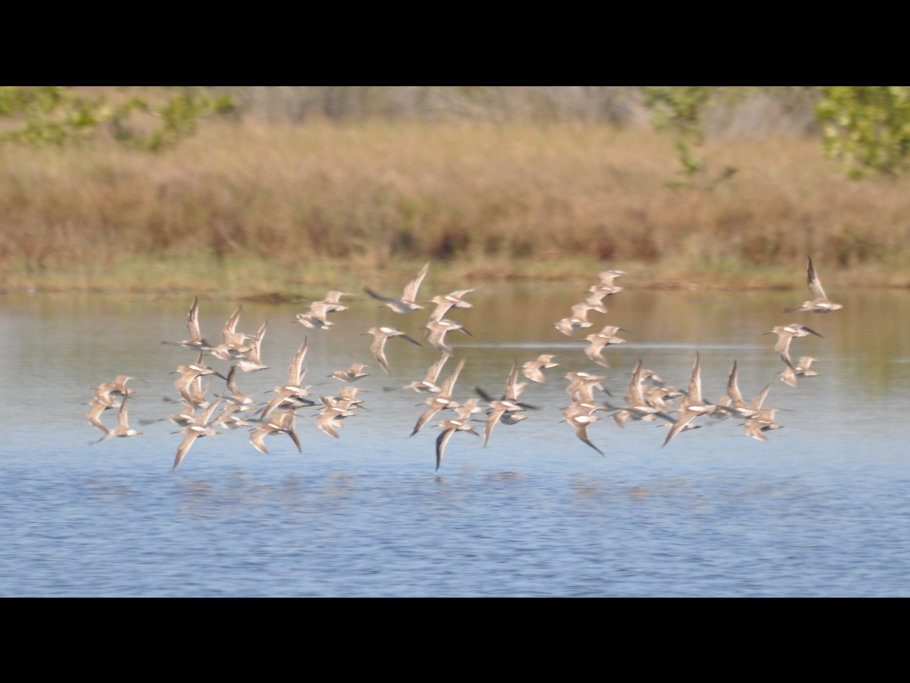 DSC_0188b.JPG