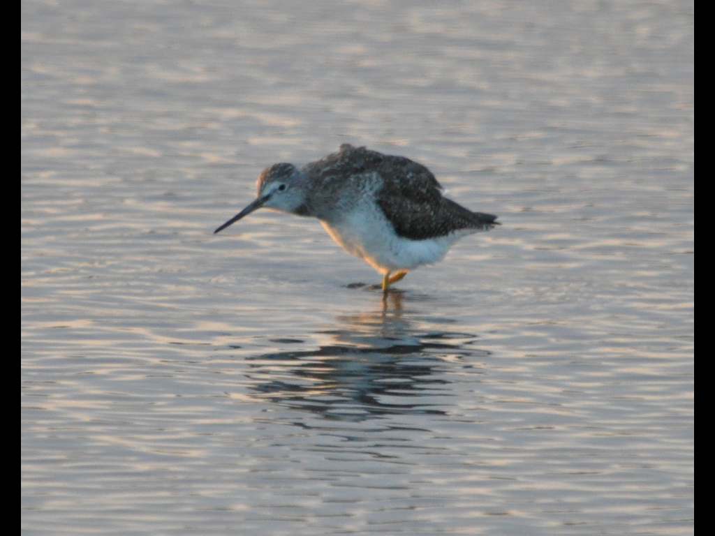 DSC_0783b.JPG