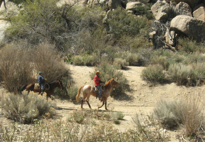 Ricardo & Arturo riding home