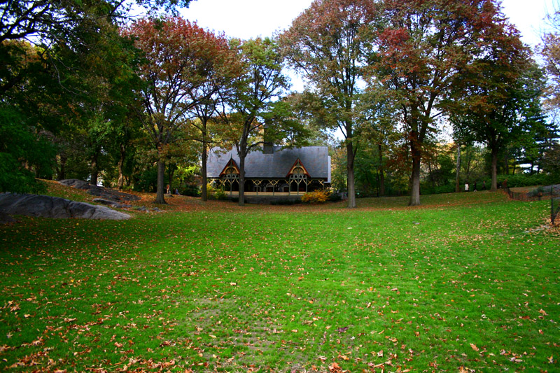 900.jpg